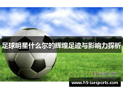 足球明星什么尔的辉煌足迹与影响力探析