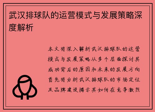 武汉排球队的运营模式与发展策略深度解析