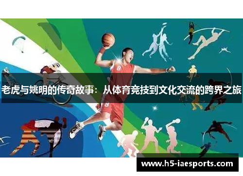 老虎与姚明的传奇故事：从体育竞技到文化交流的跨界之旅